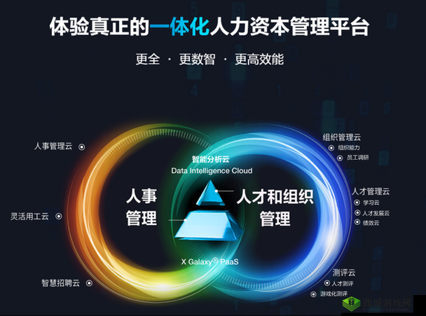 久久人力资源与普通版全方位对比：哪一款更适合企业人力资源管理需求？