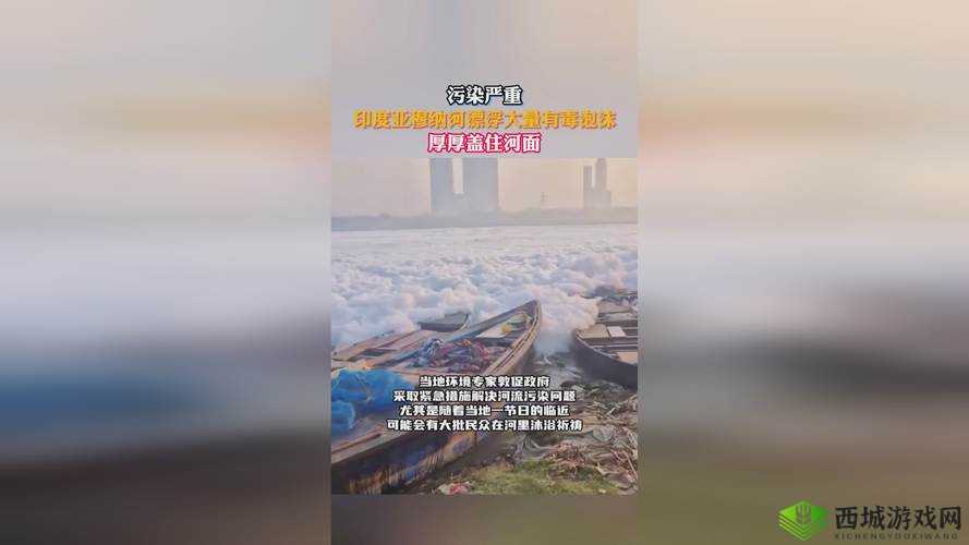 99精产国品一二三产区究竟有何独特之处？探秘其背后的秘密与魅力