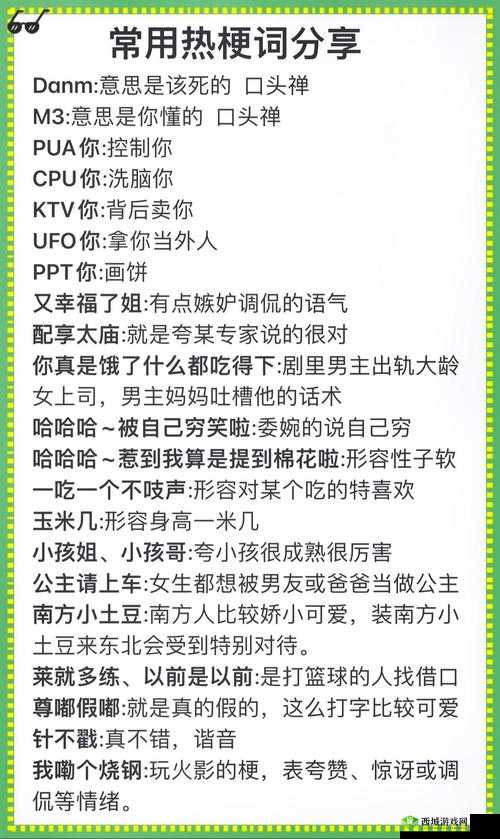 男二也要被爆炒吗?探讨网络热梗背后的社会心理与娱乐文化影响