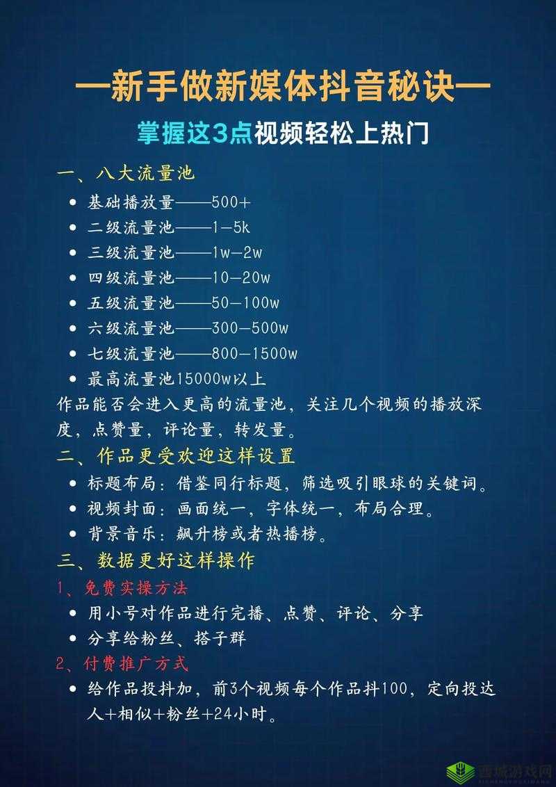 如何在短视频平台通过seo短视频网页入口提升流量?完整攻略分享