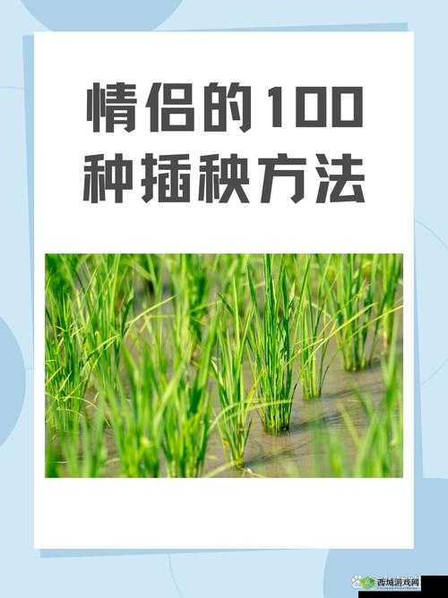 情侣的100种插秧方法:创意农业体验,增进感情的新方式,一起享受田园乐趣