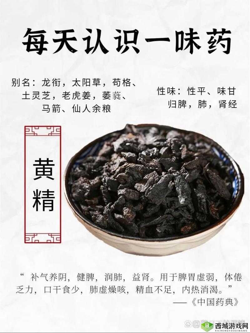 关于国精产品 W灬源码 1688,它究竟是什么?有何特别之处?