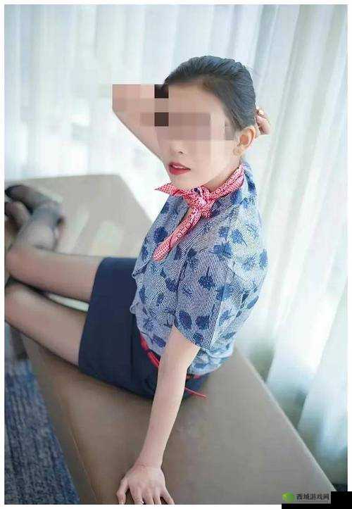 ChineSe露脸ⅤideOS嫖妓事件曝光:社会道德与法律底线的深度探讨