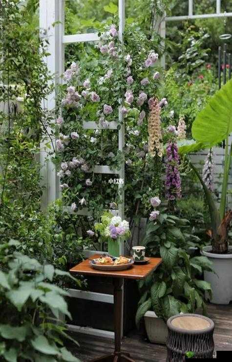 吃小花园是什么意思?正确的吃小花园方法到底是怎样的呢?快来一探究竟