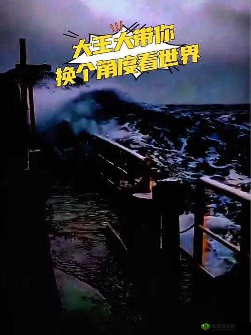 人善交videosHD 另类:探寻未知的世界