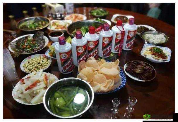 部长来家里喝酒,是一种怎样的体验?