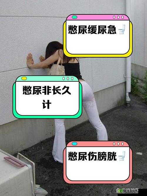 一个月不憋尿挑战:你的身体准备好了吗?