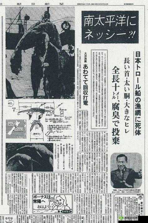 日本人的 com 究竟是什么?带你深入了解其背后的奥秘与意义