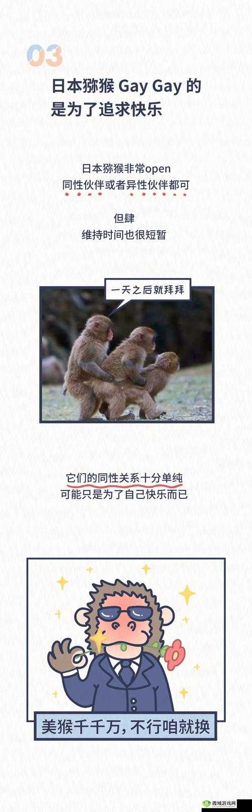 探索Free Chinese Gay Sex Clip背后的文化与社会现象:多元视角下的深度解析