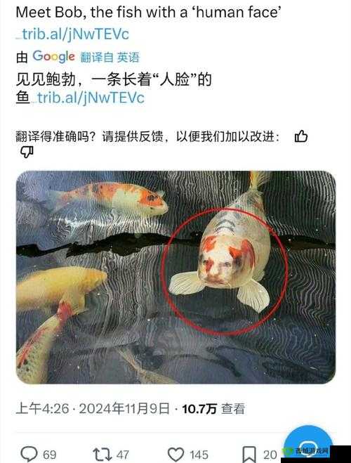 以下几个供您参考:探寻 1982 年台湾的鱼游春水,背后有何神秘故事?1982 台湾鱼游春水,究竟蕴含着怎样独特的魅力?1982 年的台湾,鱼游春水为何能引发众人关注?想知道 1982 台湾鱼游春水的特别之处吗?一起来揭秘1982 台湾鱼游春水,是怎样的存在让大家如此好奇?