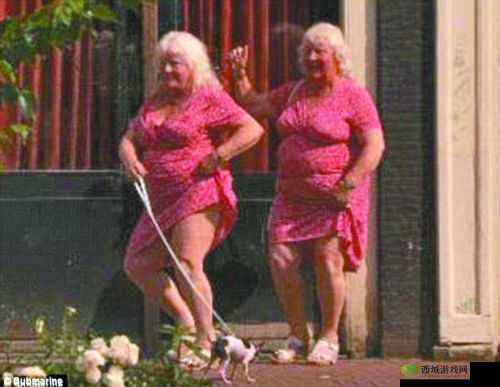 荷兰鲜嫩 BBwBBWBBw 录像中的火辣女主角,你见过吗?