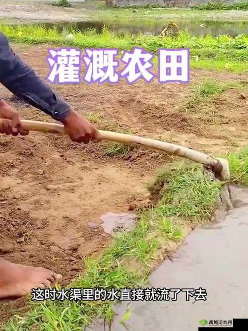 悠长假期怎么灌溉农田 灌溉方法介绍