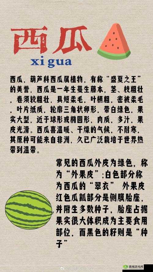 悠长假期西瓜怎么获得，获取方式详细介绍