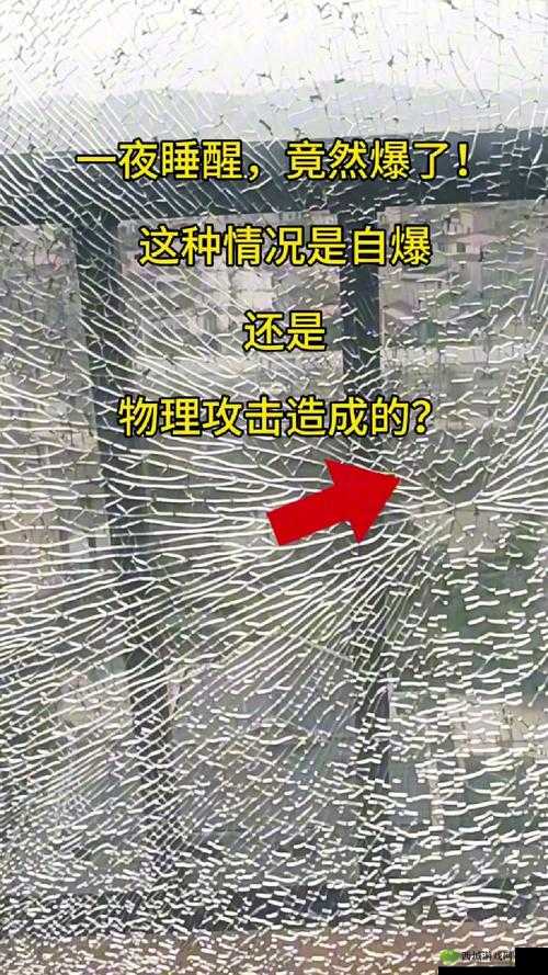 9 分 42 秒头撞玻璃究竟是怎么回事?为何会出现这惊人一幕?