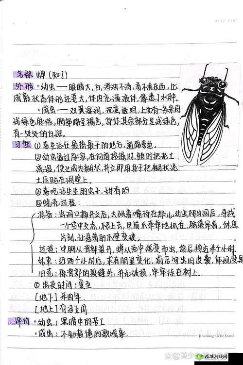 悠长假期怎么捕蝉?捕蝉方法介绍