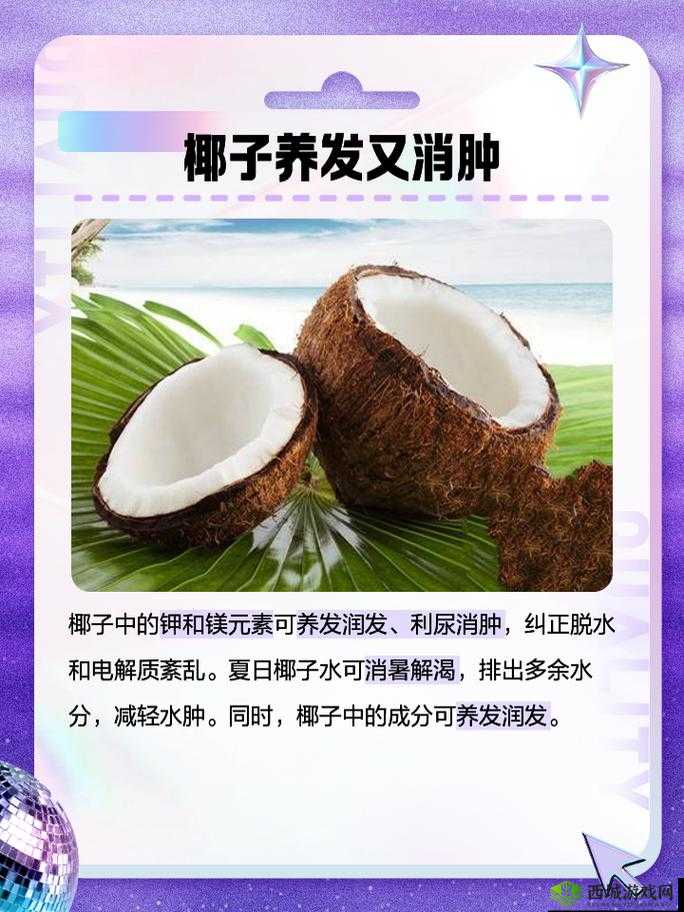 悠长假期椰子怎么获得,获取方式详细介绍