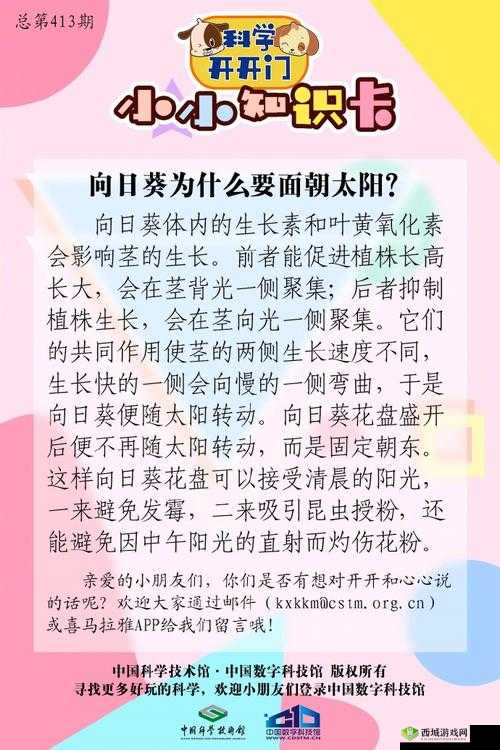 悠长假期,向日葵的底层逻辑与操作映射详解