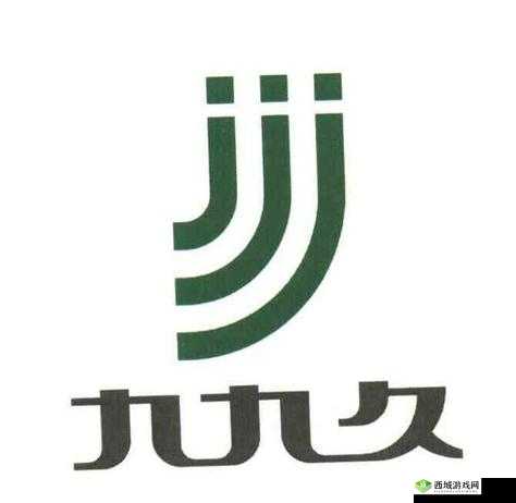 什么是九九久久久久久久一级?它有什么特点和优势?如何提高九九久久久久久久一级的排名?