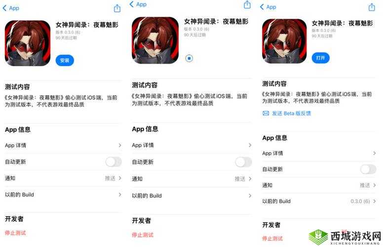 如何获取魅影 ios 安装入口?