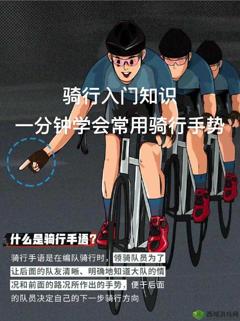 坤哥教你骑车:轻松掌握骑行技巧,成为骑行达人