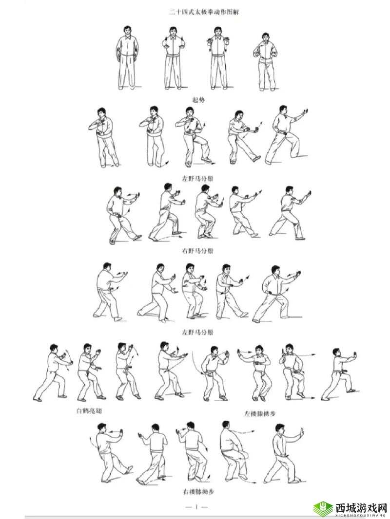 52 式太极拳分解动作:每招每式都有独特的功效