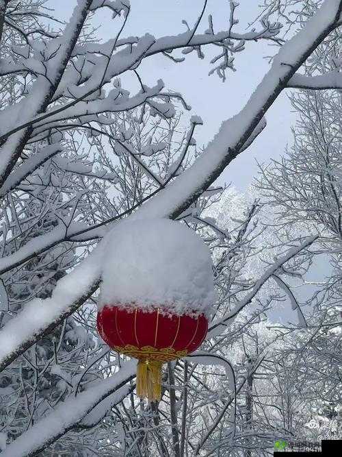 2019 年最好看的究竟是什么?一起来探寻 2019 年最好看的那些事物