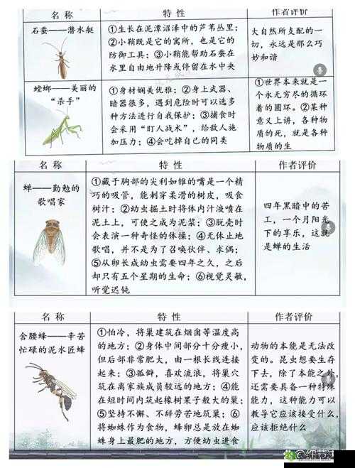 悠长假期昆虫分布全解析,探索自然之趣,捕捉珍稀之虫