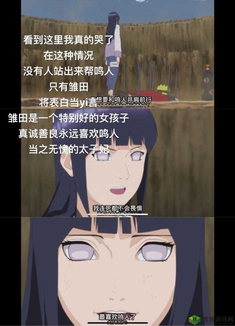 志乃喜欢雏田吗?揭秘火影忍者中志乃对雏田的真实情感