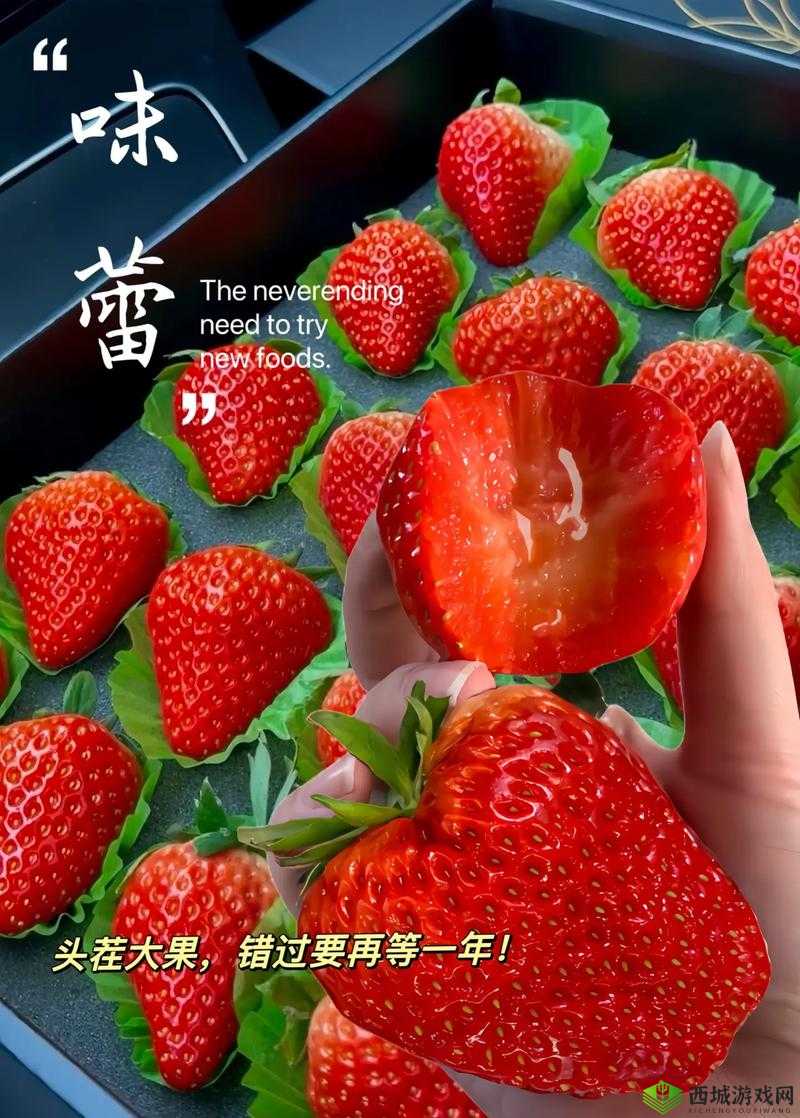 草莓广告视频:无限观看,精彩不断你是否已经迫不及待了?