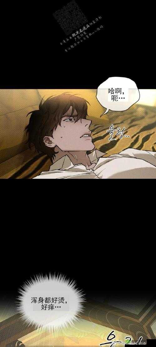 解锁末日海域，征服不思议海域的终极攻略