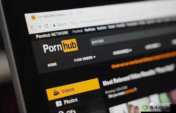 Pornhub观看入口相关问题探讨,如何找到Pornhub观看入口?其具体途径是什么?