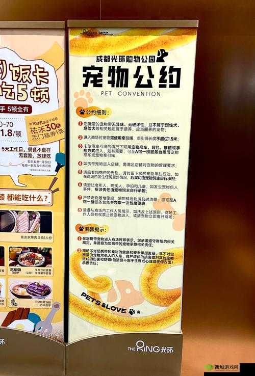 悠长假期,宠物好感度与环境值的双赢策略