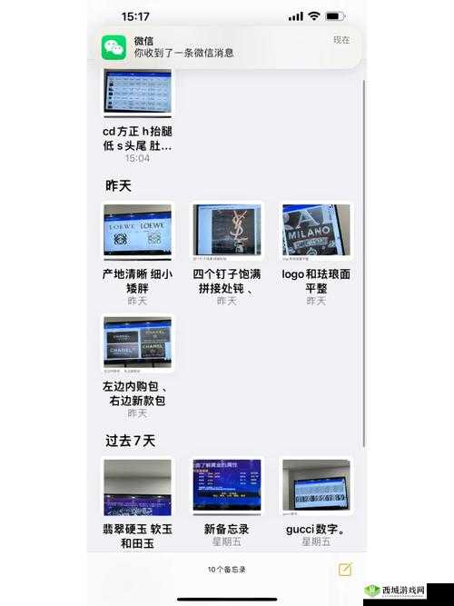 鉴定师免费看片视频软件:专业鉴定师在线免费看片,高清视频资源一键获取,轻松享受视听盛宴