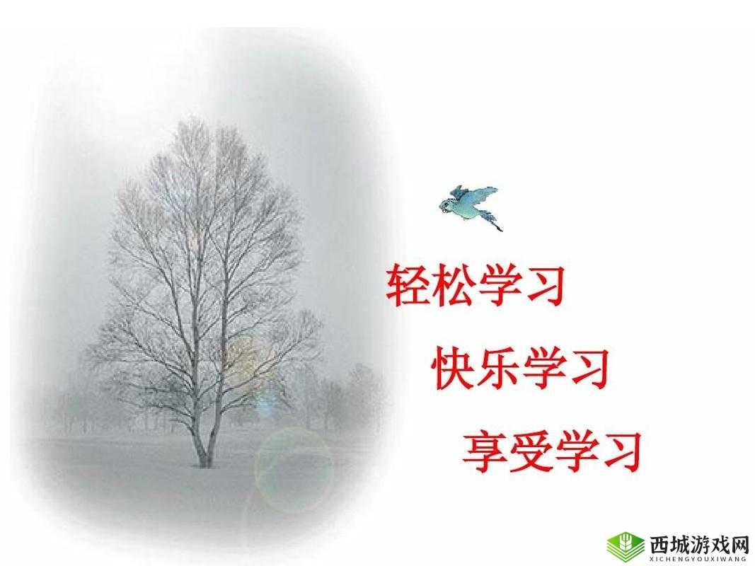 学习使我妈快乐第26关攻略,轻松解锁新乐趣