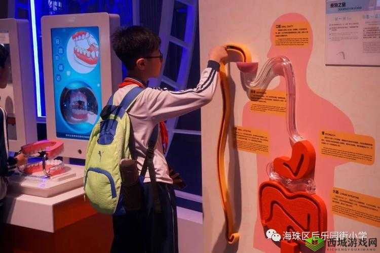 小🐔🐔的奇妙世界:探索网络文化中的可爱符号与情感表达