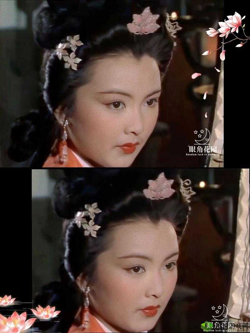 87 版王昭君电视剧 24 集剧情大揭秘,精彩内容抢先看,王昭君究竟经历了什么?