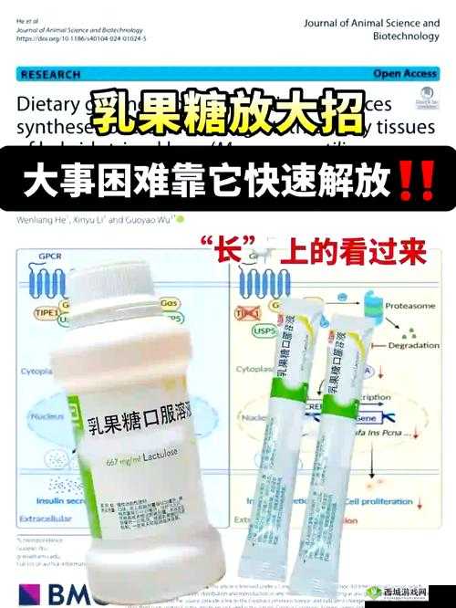 便秘十年一直吃乳果糖:长期依赖乳果糖缓解便秘的效果与注意事项