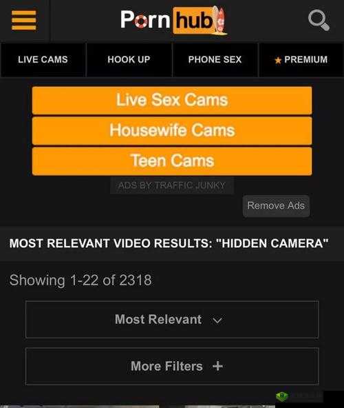 Pornhub 上最新的在线观看,你绝对想不到