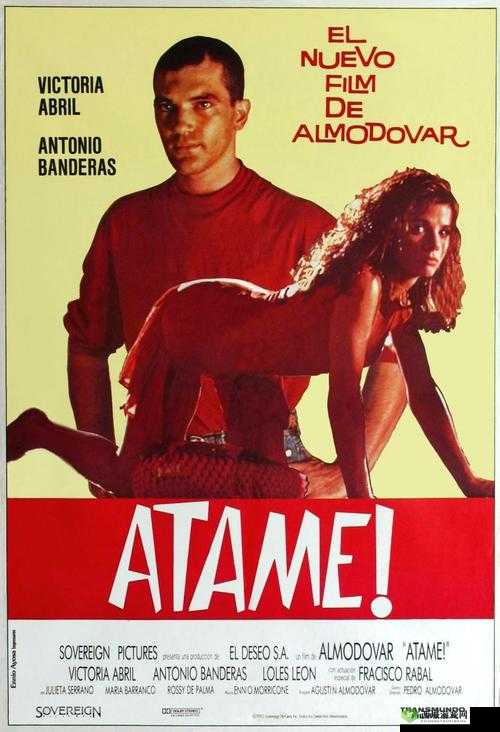 美国一级毛片片aaa最新资源推荐:高清画质与精彩剧情全解析