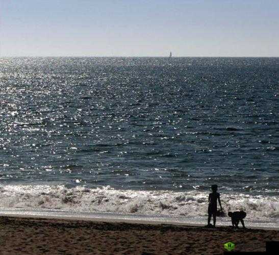 海滩上的裸体行为是否应该被允许?XXXX 业余偷拍是否涉及违法?