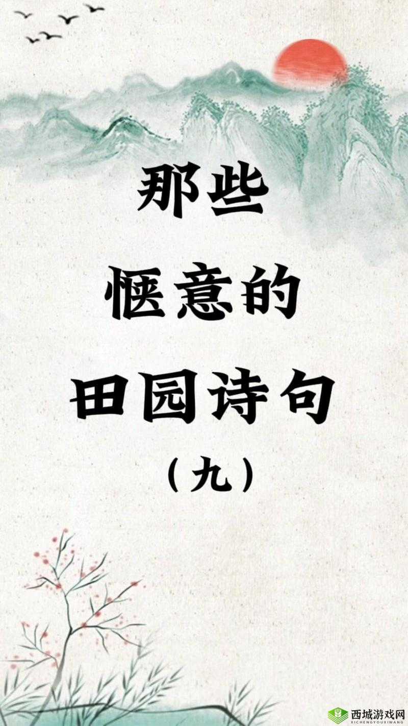 儿耕妈荒废的田究竟源自哪首诗?探寻其背后的诗意渊源