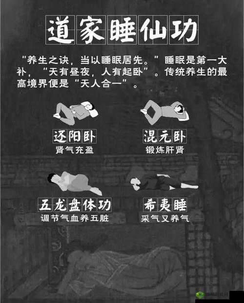 墨魂怎么安排睡觉,安排角色休息攻略的演变史专题