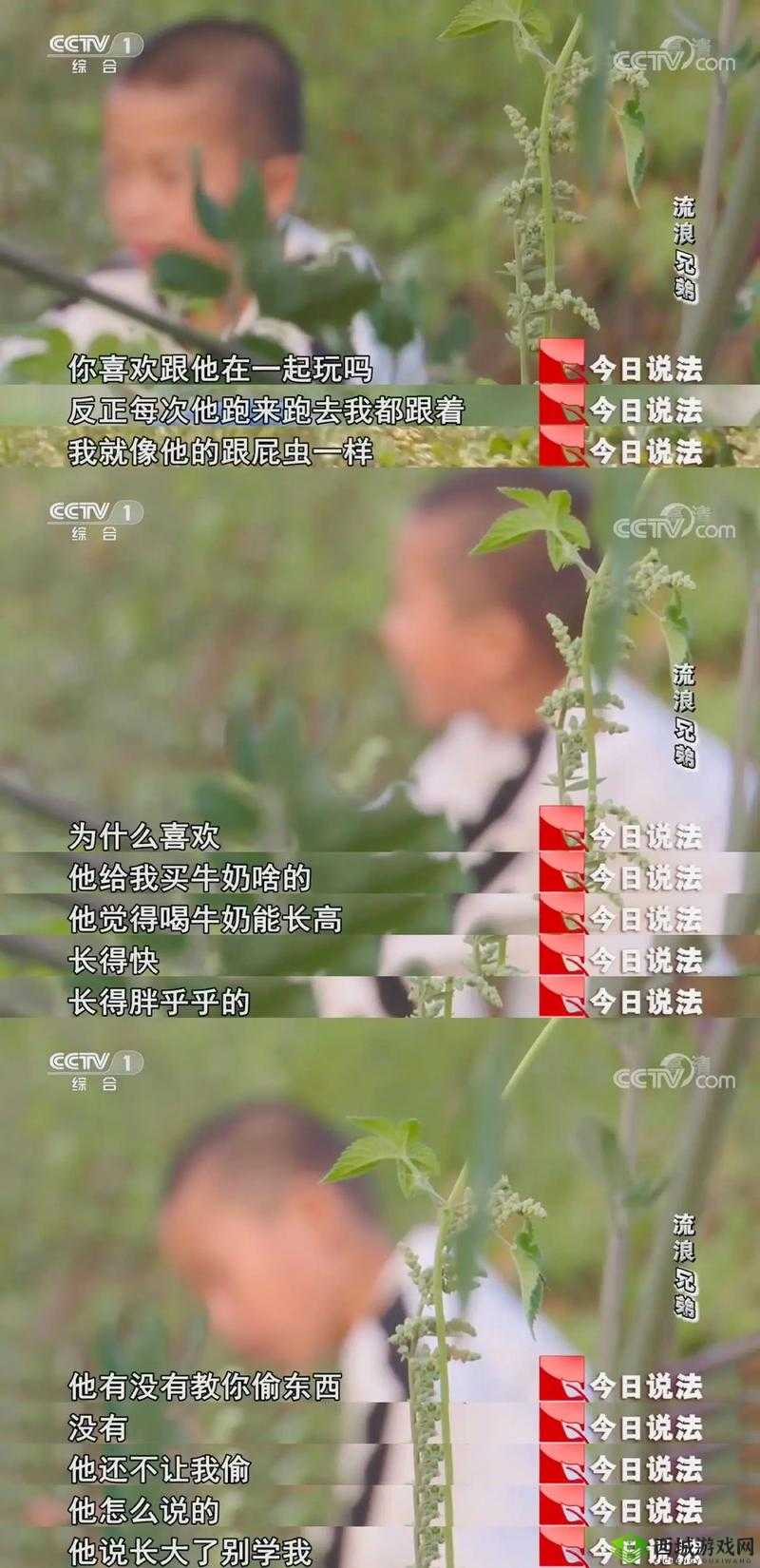 野性乡村人物都有谁?快来一探究竟,看他们的独特故事与魅力