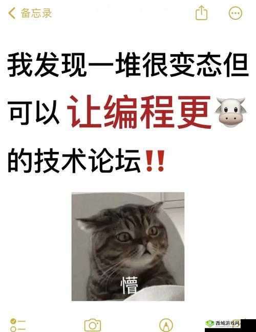 脑洞大神第8关大揭秘,程序员通关秘籍