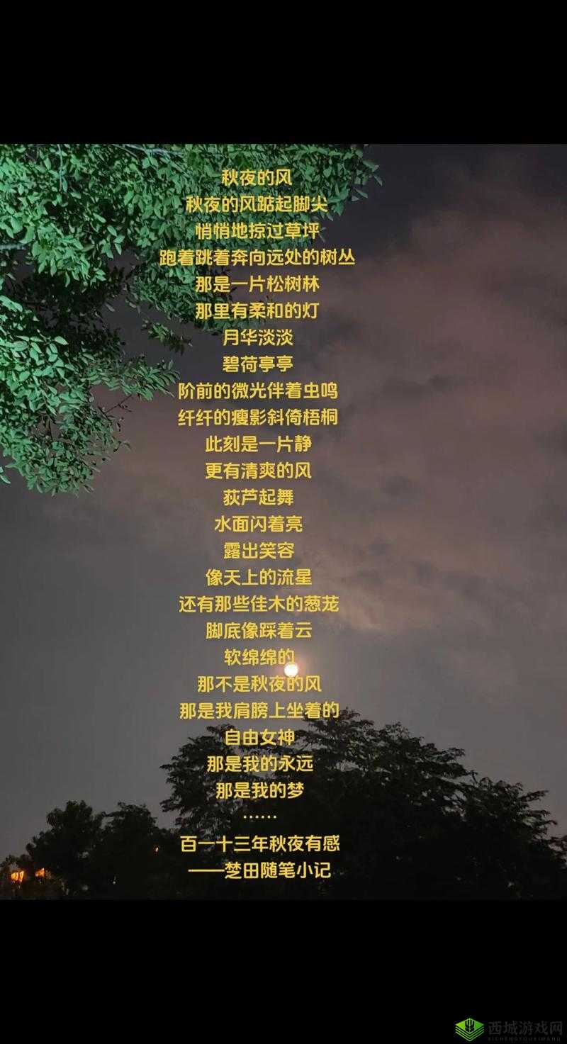 秋霞午夜是什么?为何它能引起人们的关注?探寻秋霞午夜背后的故事