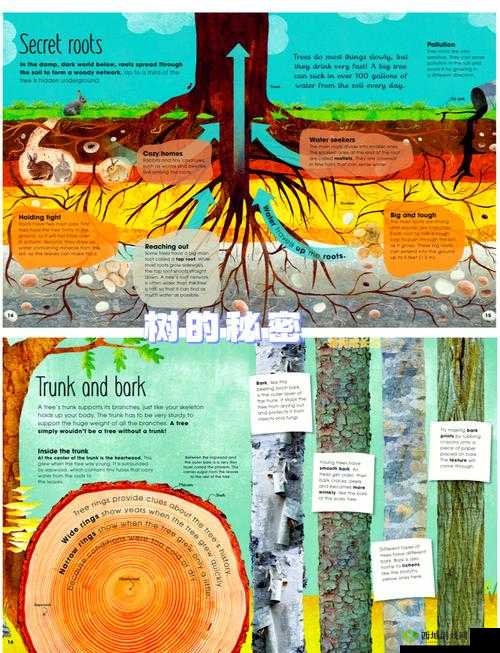 探索精灵村森林繁衍后代的秘密:如何有效帮助精灵村森林实现生态平衡与物种延续