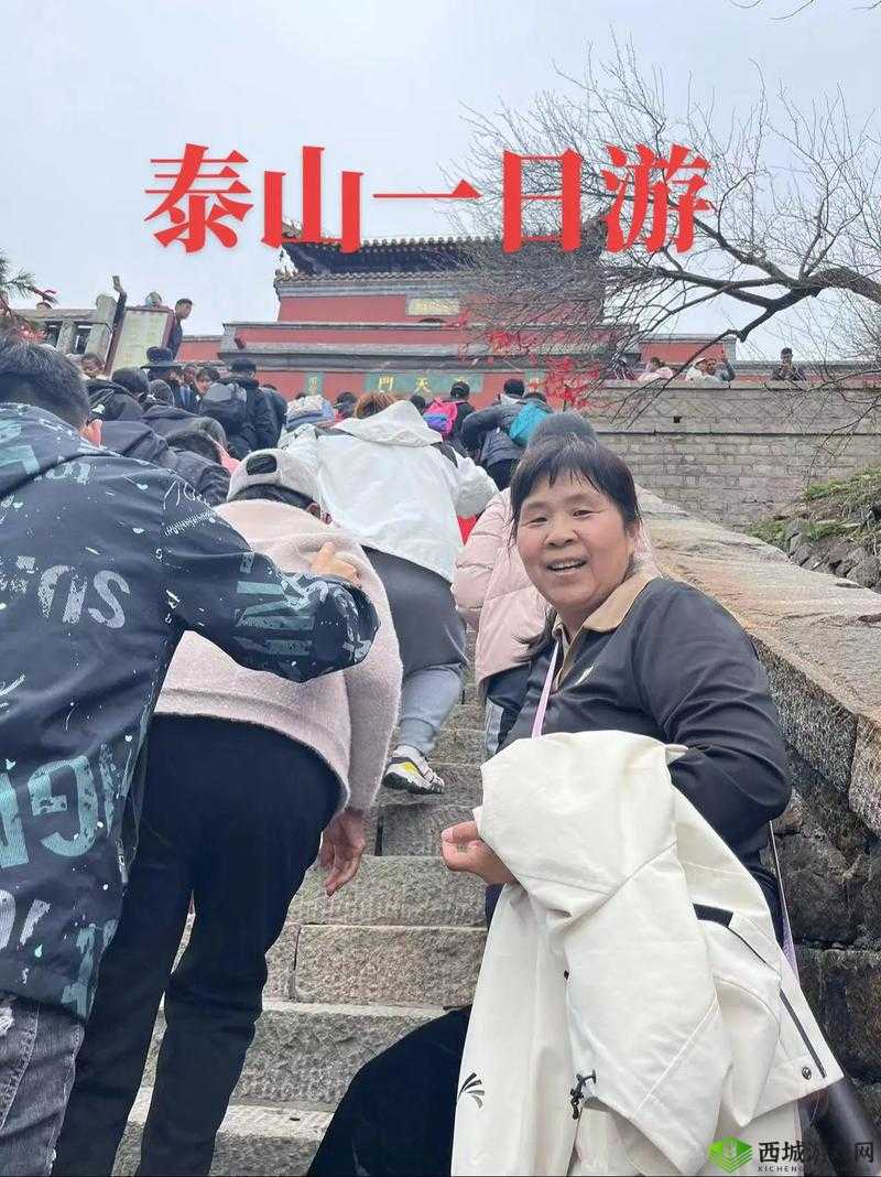 想知道意大利泰山 1995在哪能看?全网搜索指南在此意大利泰山 1995何处可看?揭晓最佳观看渠道探秘意大利泰山 1995观看之地,答案尽在这篇文章中