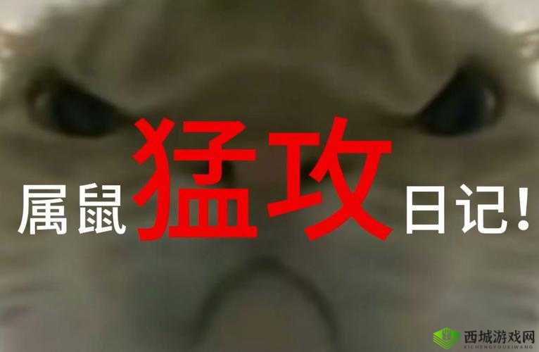 浪小辉Chinese野战做受:深度解析其独特魅力与实战技巧,让你全面了解这一热门话题