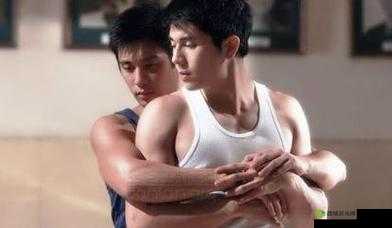 探索国产chase男男Gay照片背后的故事:文化、艺术与身份认同的深度解析