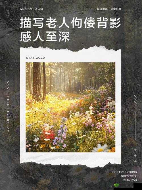 关于人文艺术 344447 老人，其背后有着怎样的故事和独特魅力？快来一探究竟